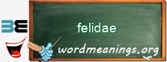 WordMeaning blackboard for felidae